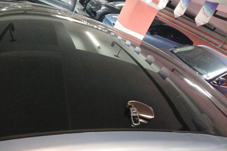 Used Rising ER6 2020 620 km Smart Edition Roof