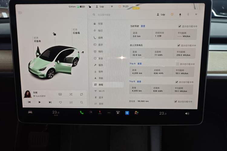 Used Tesla Model Y 2021 Standard Range Rear-Wheel Drive Version
