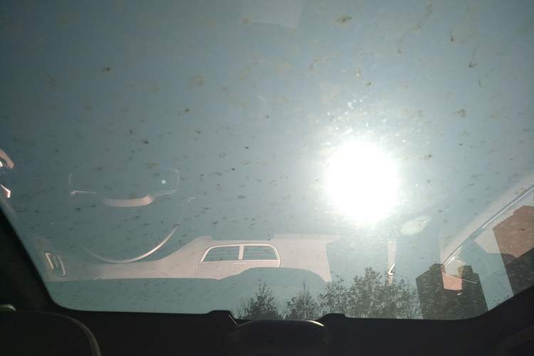 Used Polestar 2 2020 First Edition