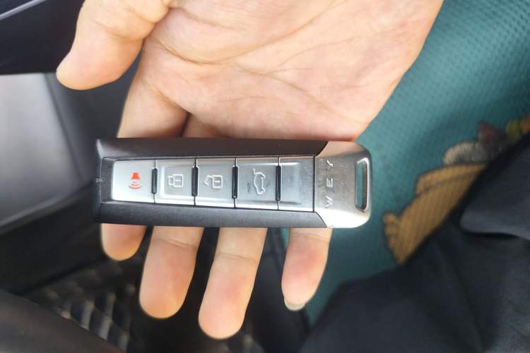 Used Wey Mocha 2021 2.0T Two-Wheel Drive Special Edition
