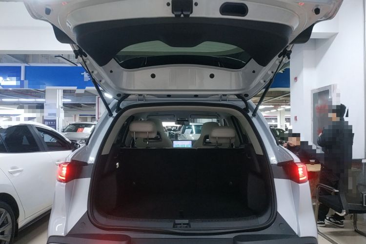 Used BYD Yuan UP 2024 401KM Beyond Edition
