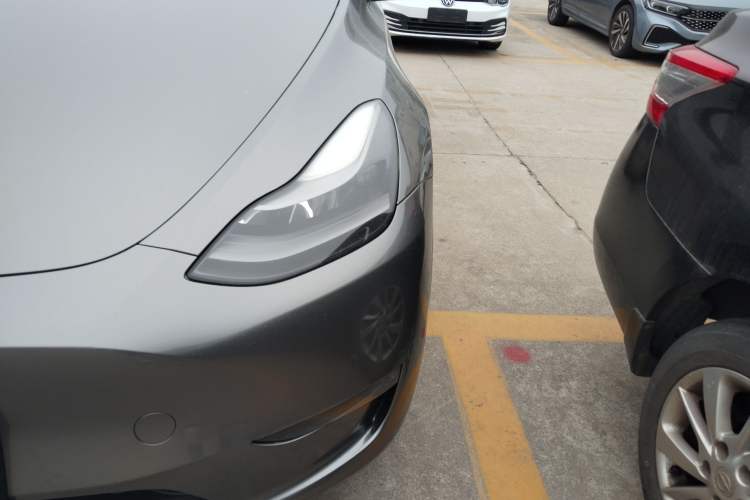 Used Tesla Model Y 2021 Standard Range Rear-Wheel Drive Version
