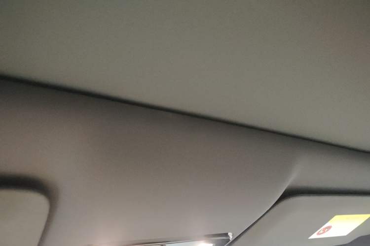 Used Li Auto i6 2025 Model Two-Wheel-Drive Standard Type Headliner