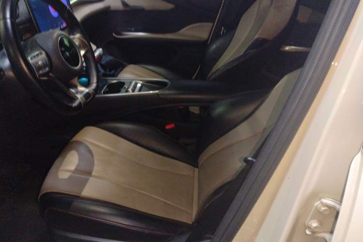 Used BYD Dolphin 2023 420 km Free Version Left Front Seat