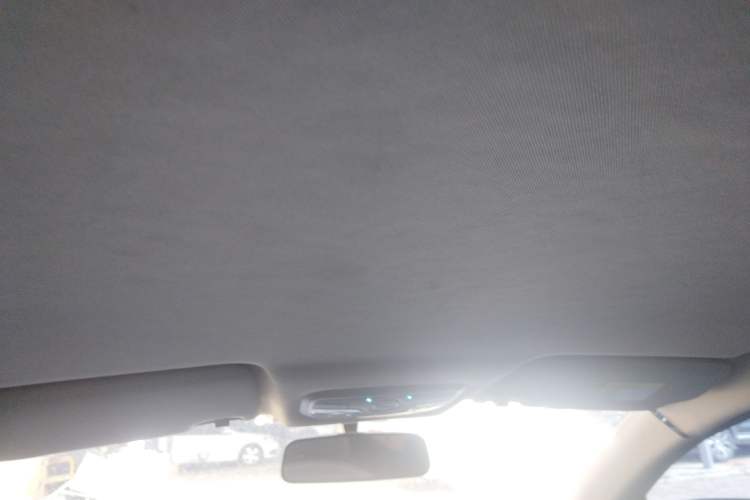 Used Dayun Yuehu 2022 30.66 kWh Two-Wheel Drive VIP Edition
