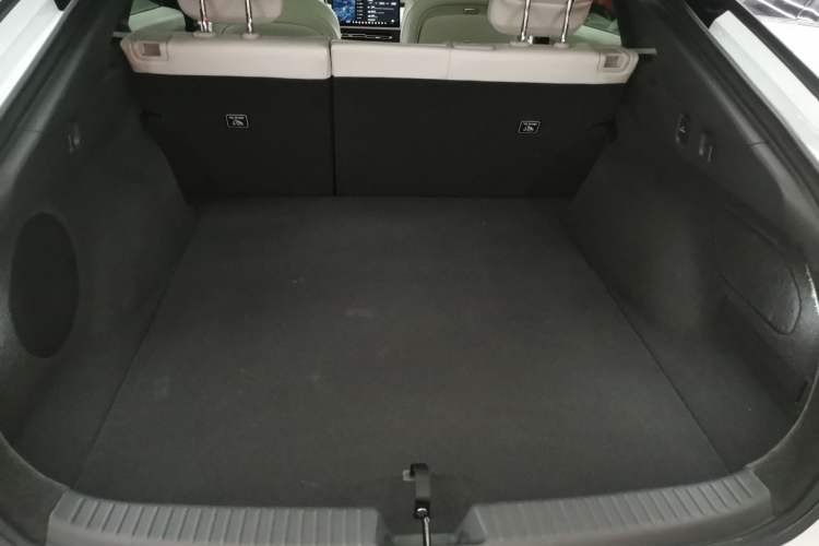 Used XPeng P7+ 2024 Long-Range Max
