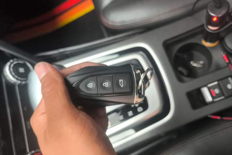 Used Leopaard CS10 2017 2.0T Automatic Urban Version