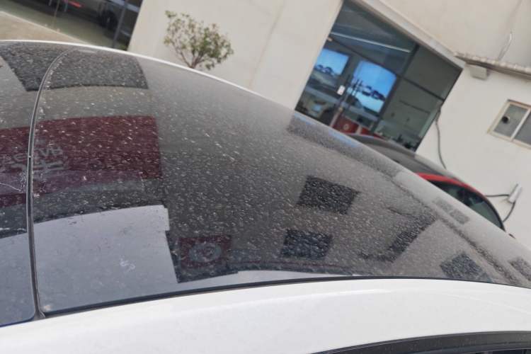 Used Tesla Model Y 2022 Rear-Wheel-Drive Version
