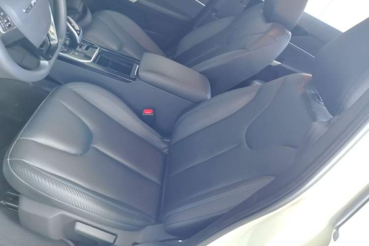 Used Venucia Venucia D60EV 2022 Standard Range Comfort Edition
