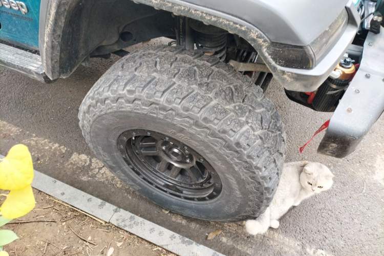 Used Jeep Wrangler 2019 2.0T Sahara Four-Door Version China VI Emission Standard