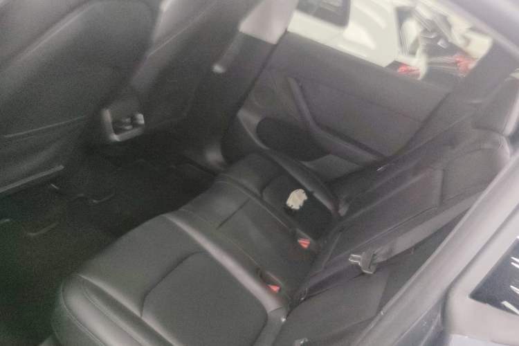Used Tesla Model Y 2023 Long-Range All-Wheel-Drive Version Left Rear Seat