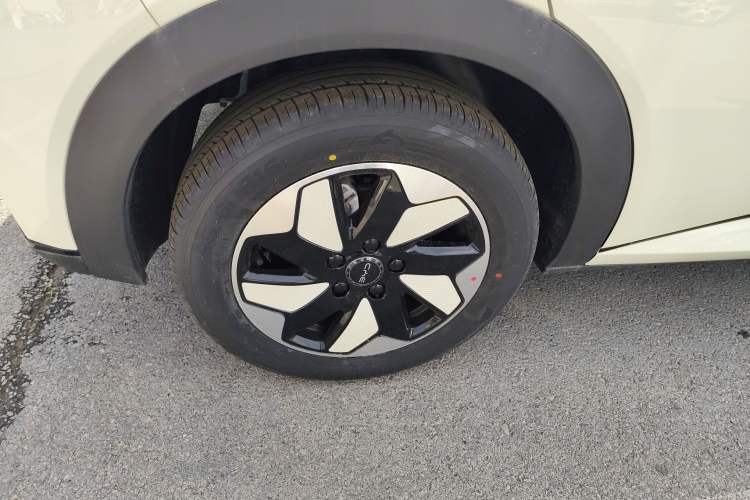 Used BYD Dolphin 2025 420km Free Edition