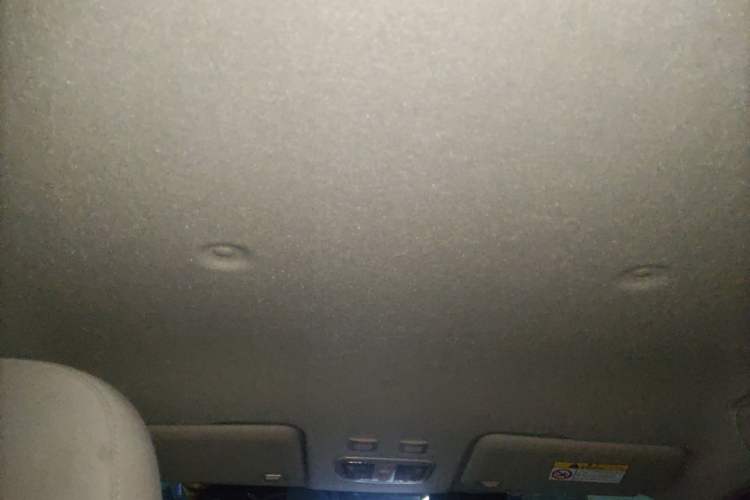 Used ORA White Cat 2020 360 km Luxury Version Headliner