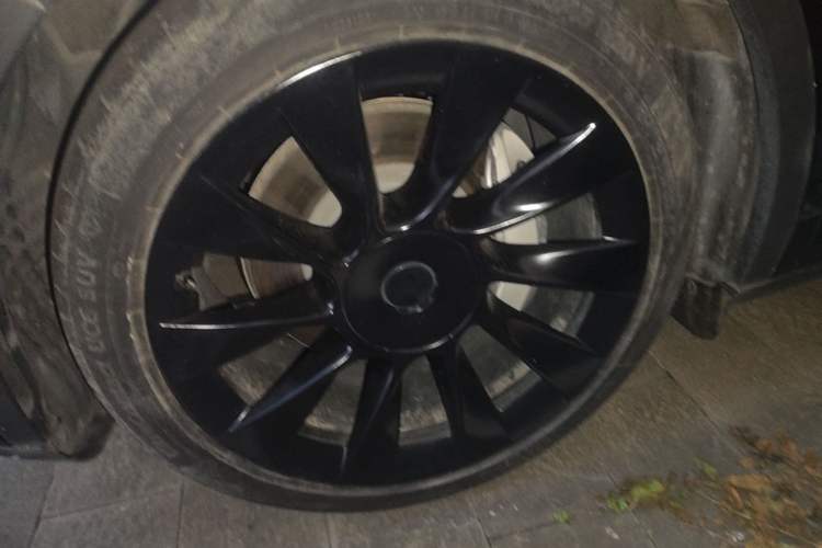 Used Tesla Model Y 2021 Standard Range Rear-Wheel Drive Version