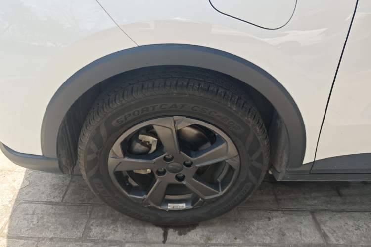 Used Geometry E Firefly 2022 401 km Linglong Tiger 4 Seats
