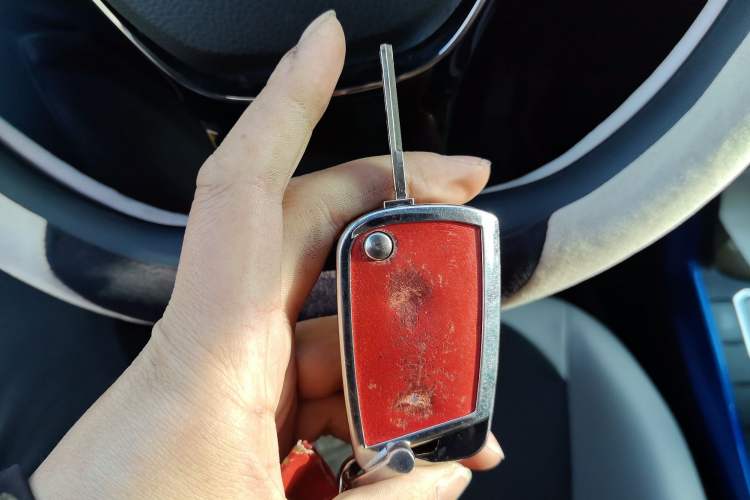 Used Volkswagen Polo 2019 Plus 1.5L Automatic Colorful Technology Edition