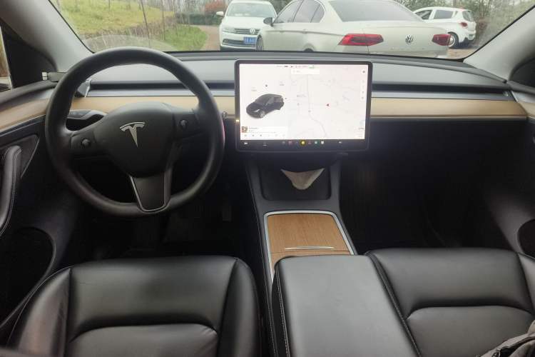 Used Tesla Model Y 2021 Standard Range Rear-Wheel Drive Version
