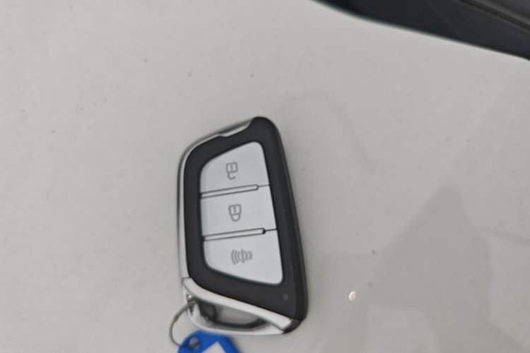 Used SOL X4 2021 1.5T CVT Chief Edition
