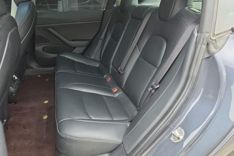 Used Tesla Model 3 2020 Revised Version Standard Range Rear-Wheel Drive – Upgraded Edition