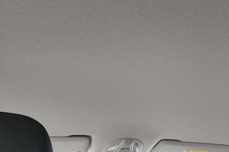 Used Wuling Victory 2020 1.5T CVT Elite Model Headliner