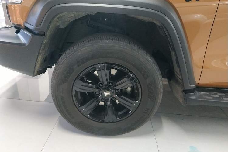 Used Tank 300 2024 2.0T Conqueror