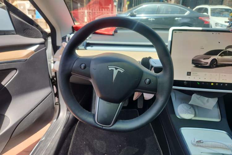 Used Tesla Model 3 2022 Rear-Wheel-Drive Version