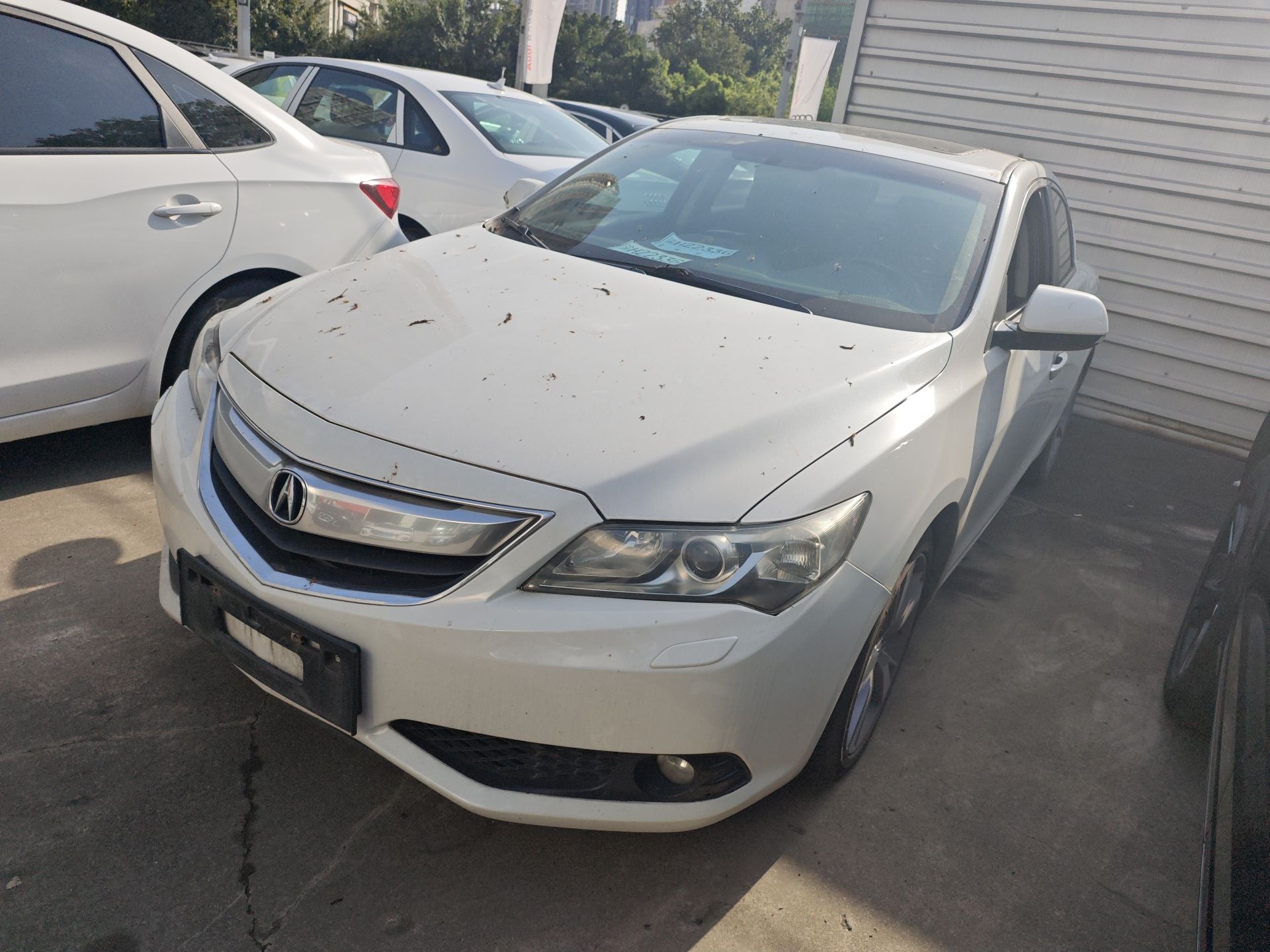 Parte inferior delantera