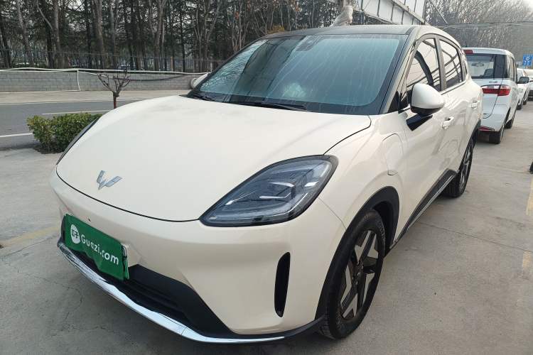 Used Wuling Bingo S 2025 Model 430km Flagship Edition
