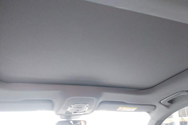 Used Audi A6L 2020 40 TFSI Luxury Dynamic Edition Headliner