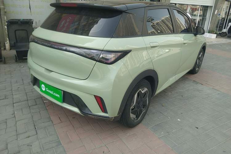 Used BYD Dolphin 2021 405 km Free Version
