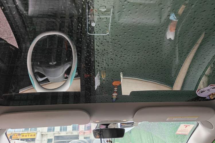 Used Tesla Model 3 2021 Revised Version II – Performance High-Performance All-Wheel-Drive Edition Headliner