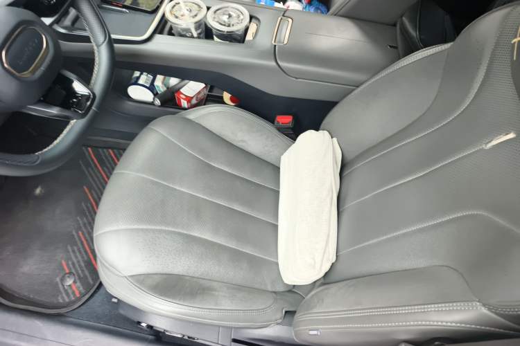 Used Lynk & Co 07 2024 EM-P 126 Long-Range Halo Left Front Seat