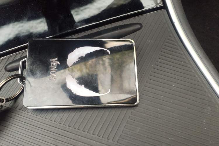 Used Tesla Model 3 2019 Standard Range Rear-Wheel Drive Upgraded Version (52 kWh) Vehicle Key