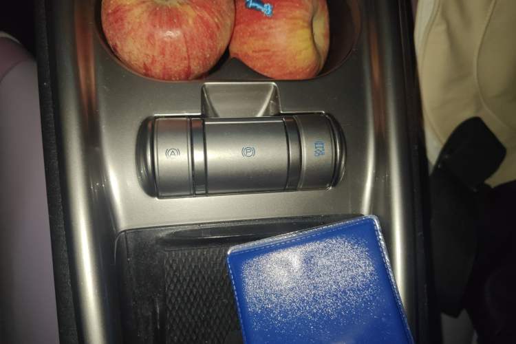 Used BYD Dolphin 2021 405 km Fashion Edition Gear Lever