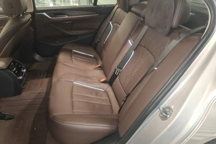 Used BMW 5 Series 2019 Facelifted 530Li Leading Edition Luxury Package