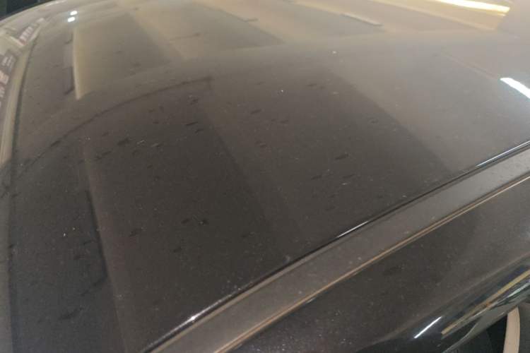 Used ORA Black Cat 2021 351 km Standard Version
