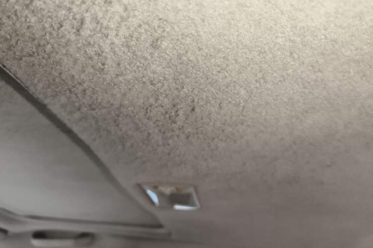 Used BYD F3 2013 1.5L Manual Luxury Model Headliner