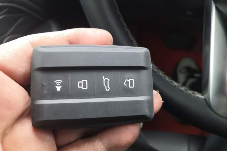 Used Tank 300 2023 City Edition 2.0T Essential Model