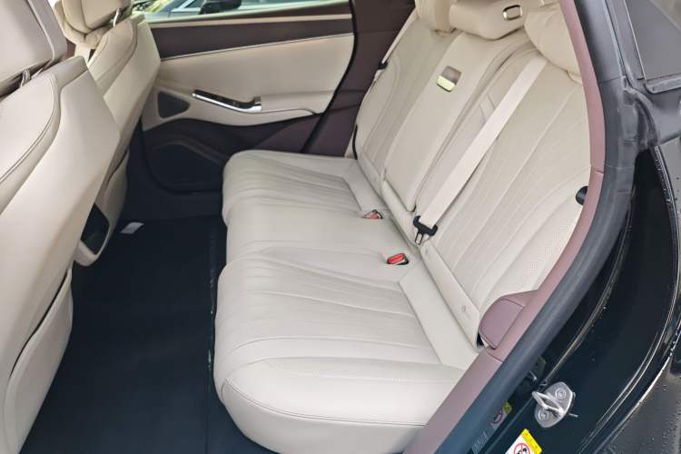 Used Denza Z9GT 2024 1100 4x4 Pro Version Left Rear Seat