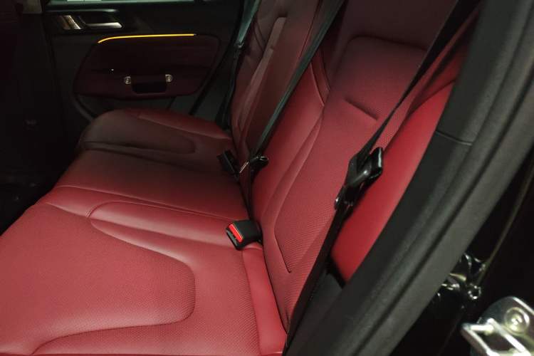 Used Tank 300 New Energy 2025 Hi4-T Left Rear Seat