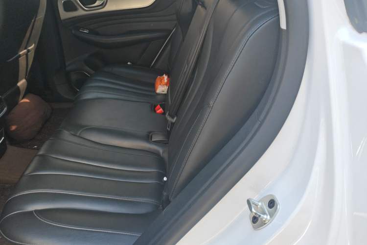 Used Roewe RX5 MAX 2021 Supreme Series 300TGI Automatic Smart Cabin Edition Left Rear Seat