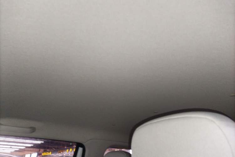 Used Qiyuan Lumin 2023 205km Xiangqin Version