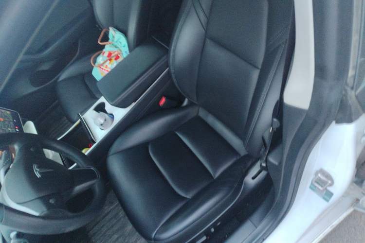 Used Tesla Model 3 (Import) 2019 Long-Range All-Wheel-Drive Version