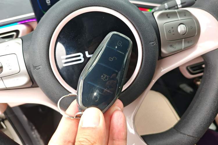 Used BYD Seagull 2023 Active Version Vehicle Key