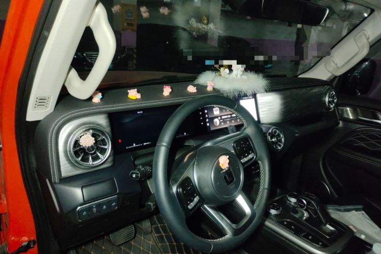 Used Tank 300 2024 2.0T Conqueror
