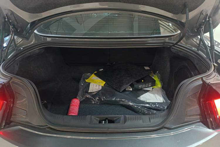 Used Ford Mustang 2024 5.0L V8 Dark Horse