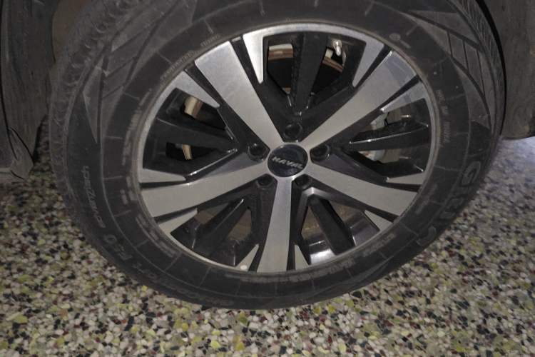 Used Haval DARGO 2021 1.5T DCT Two-Wheel Drive Labrador Edition