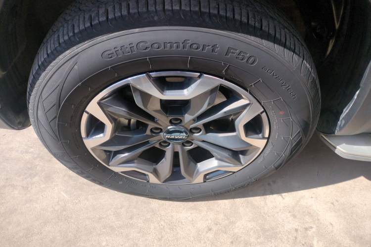 Used Haval DARGO 2021 2.0T DCT 4x4 Chinese Rural Dog Edition