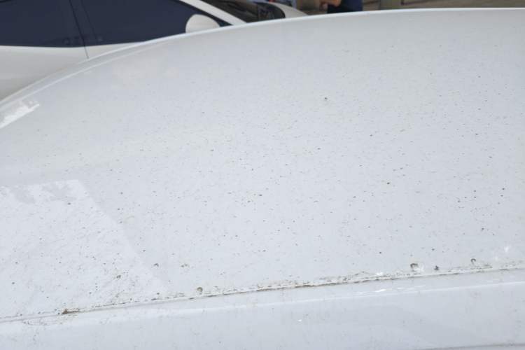 Used Volkswagen Polo 2023 Revised Plus 1.5L Automatic – Enjoy Life Edition Roof