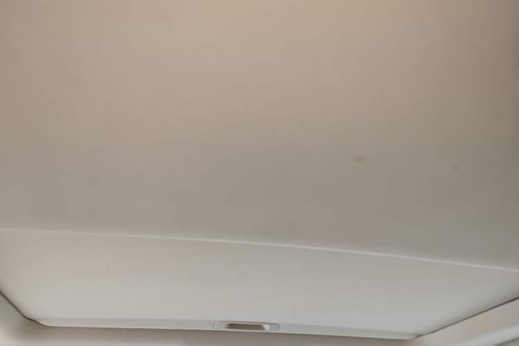 Used Lexus RX Classic 2011 270 Elegant Edition Headliner